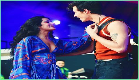 Are Shawn Mendes and Robert Irwin in a Relationship? Unpacking the Rumors