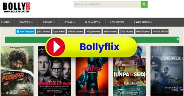 Bollyflix Netflix: The Ultimate Guide to Bollywood on Your Favorite Streaming Platform