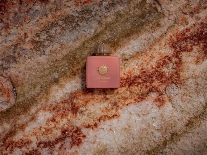 Sam Kass Wife: A Deep Dive into the Life of the Culinary Expert and His Partner