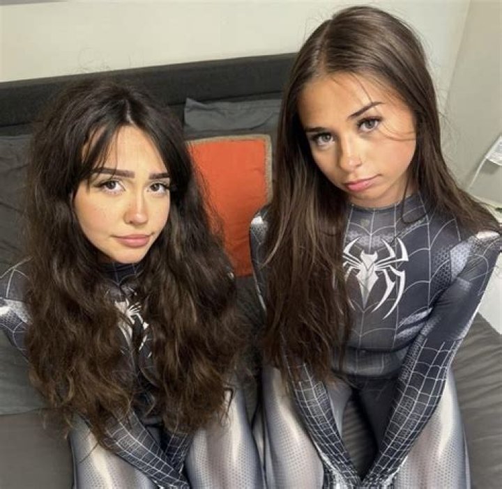 Sophie Rain Spider: A Comprehensive Guide to the Fascinating World of Sophie Rain Spiders