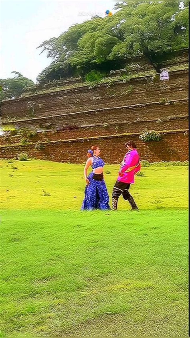 TeluguMovieRulz: The Ultimate Guide to Understanding the Phenomenon